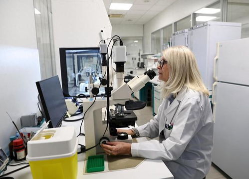 數(shù)字化轉(zhuǎn)型加速 意大利企業(yè)AI技術(shù)采用率實(shí)現(xiàn)翻倍增長(zhǎng)